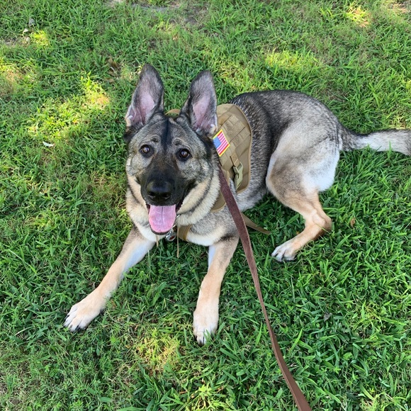 Meet your Posher, Deborah - Picture 6 of 8